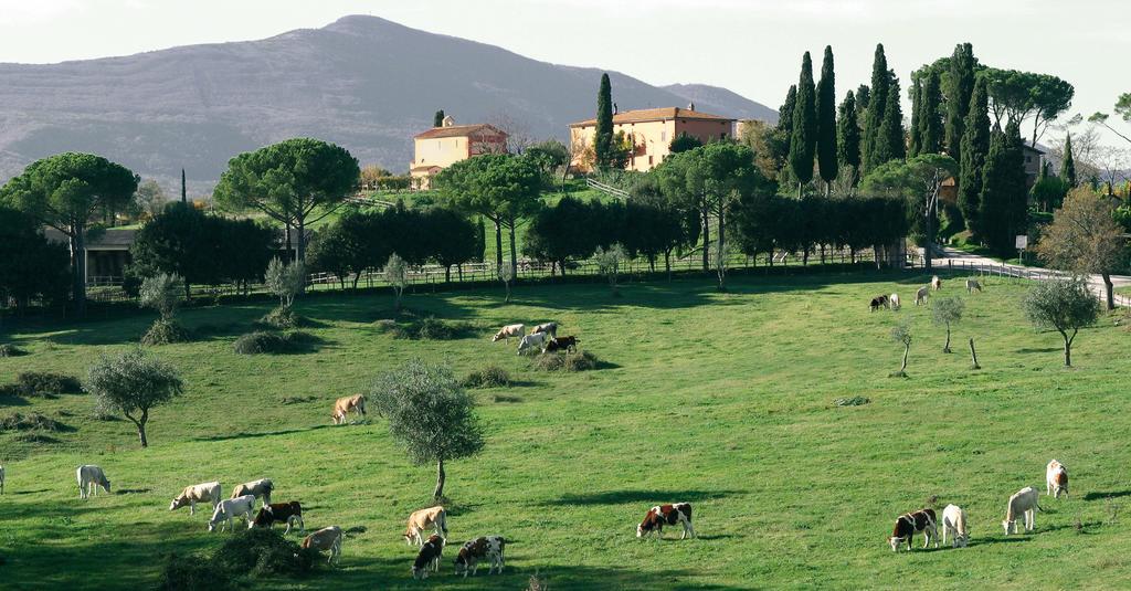 Poggiovalle Tenuta Italiana Belvedere  Экстерьер фото